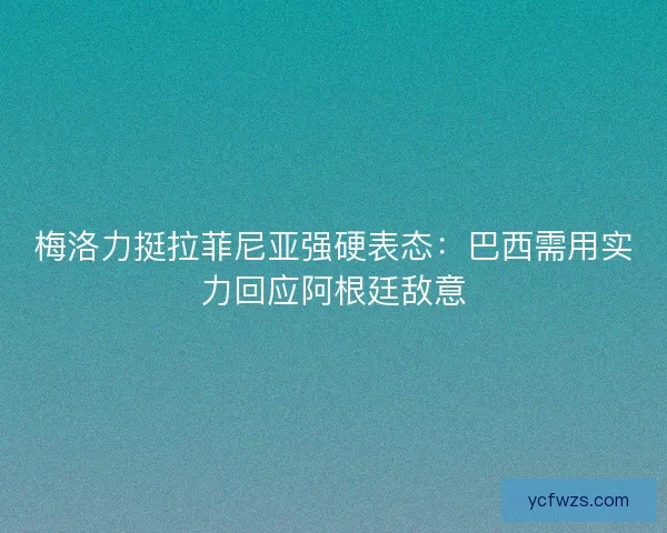 梅洛力挺拉菲尼亚强硬表态：巴西需用实力回应阿根廷敌意
